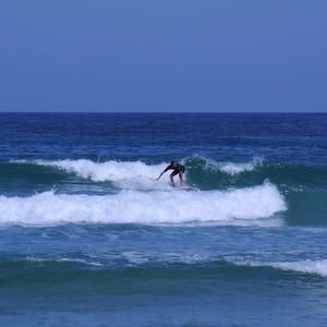 Meet your Posher, Gustavo